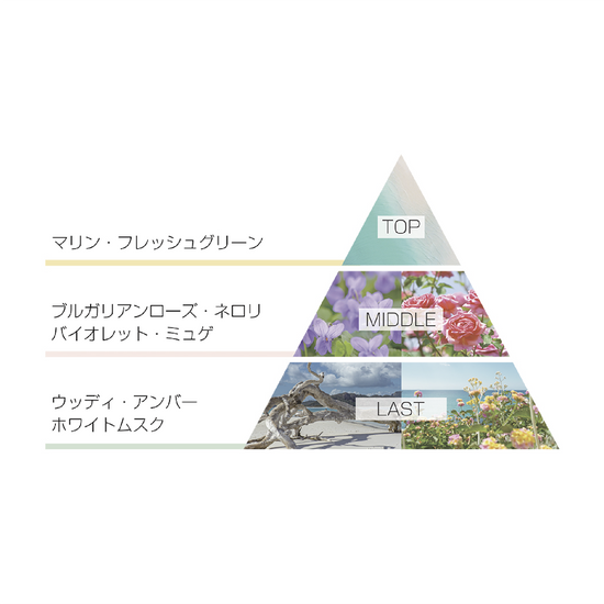 ハンド＆ヘアートリートメント/サニーデイ オン グレースベイ（30g）